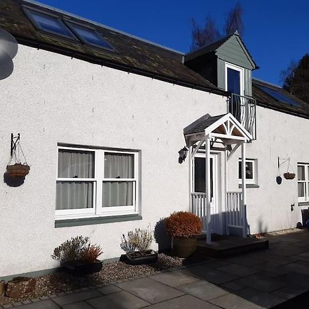 Pinewood Cotage - Country Walks And Relaxation Villa Blairgowrie and Rattray Eksteriør bilde