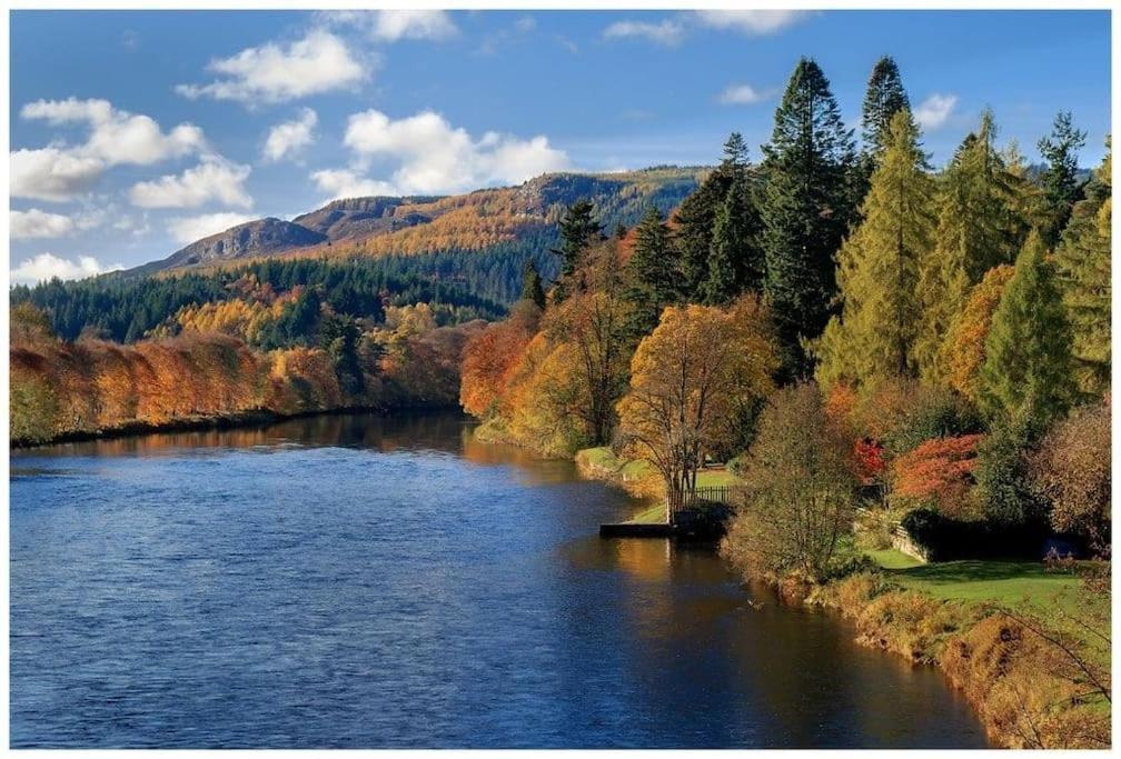 Pinewood Cotage - Country Walks And Relaxation Villa Blairgowrie and Rattray Eksteriør bilde